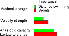 Types of strength in swimming